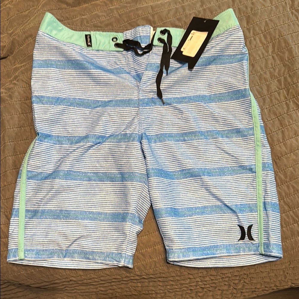Hurley Mint Green and Blue Striped Board Shorts (NWT)